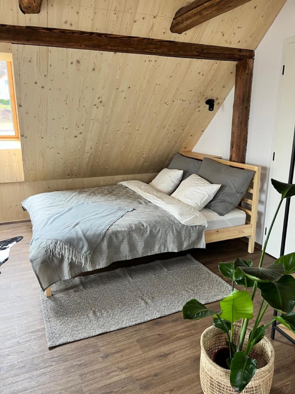 Sanky Apartmany Liberec Exterior foto